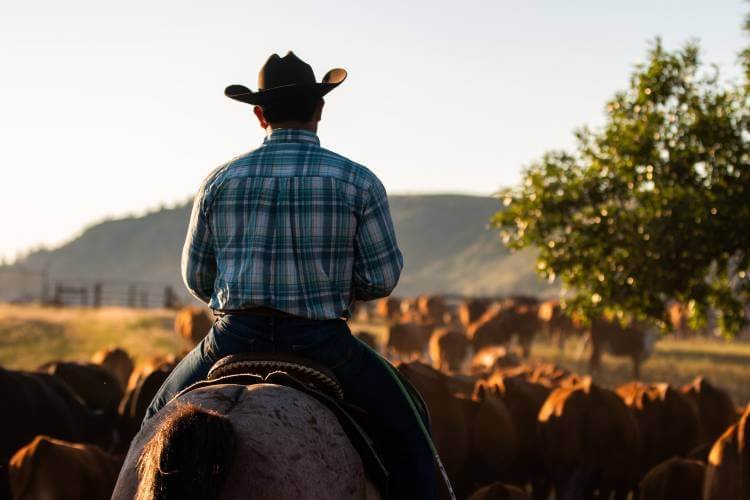 cool cowboy hat